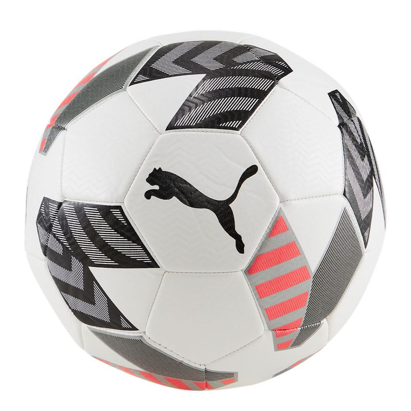 Pelota puma evospeed hotsell