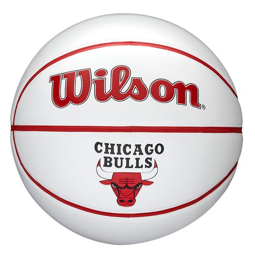 PELOTA MINI WILSON TEAM UNISEX