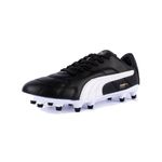 BOTINES-PUMA-BORUSSIA-20-FG